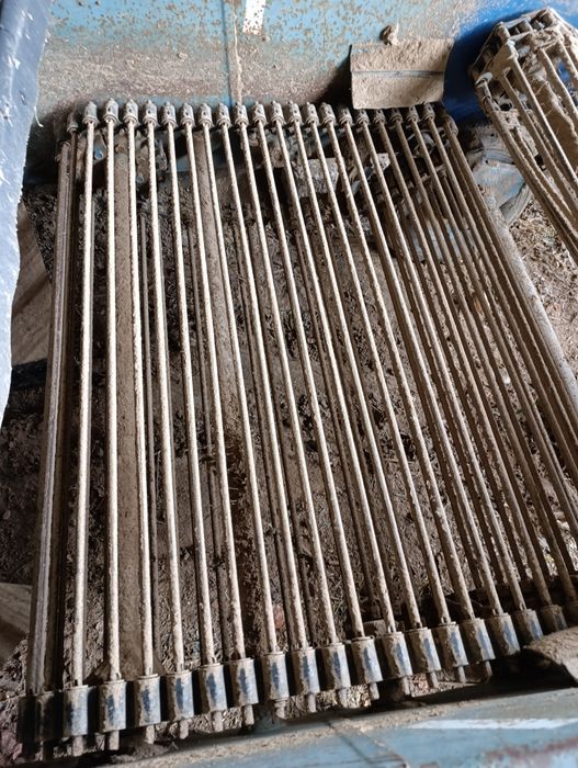 Kopaczka elewatorowe do cebuli