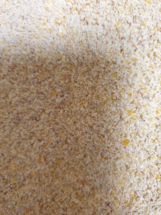 Kukurydza sucha mielona