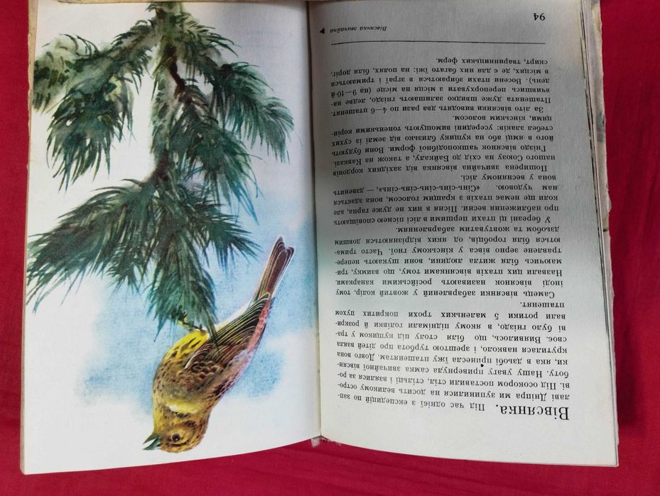 Пернаті друзі. Л. О. Смогоржевський.