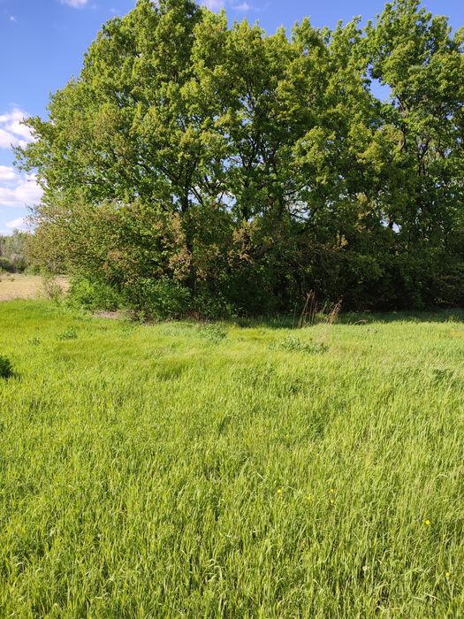 Продам участок,орловщина