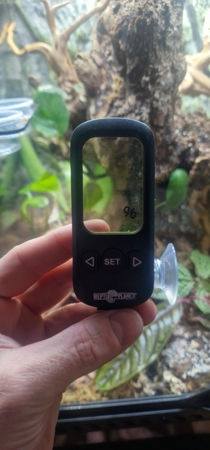 Termometr/higrometr LCD z alarmem Repti Planet