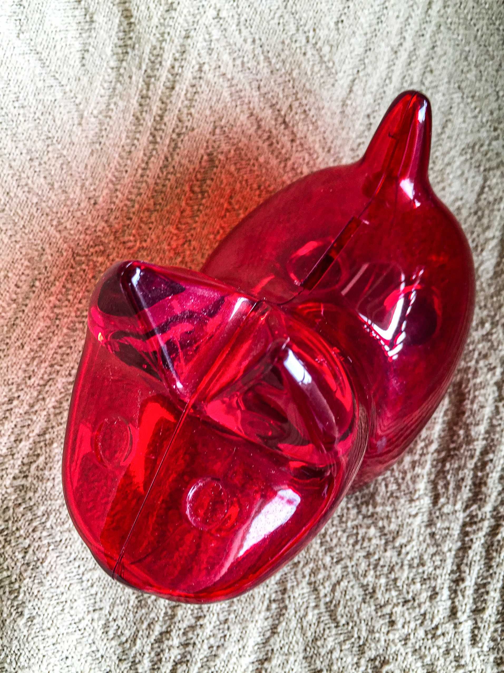 Mealheiro cão vermelho transparente (NOVO)