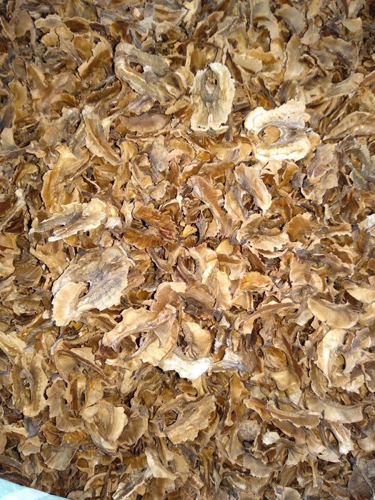 Перегородки грецького горіха