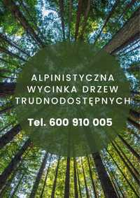 Alpinistyczna wycinka drzew trudnodostepnych