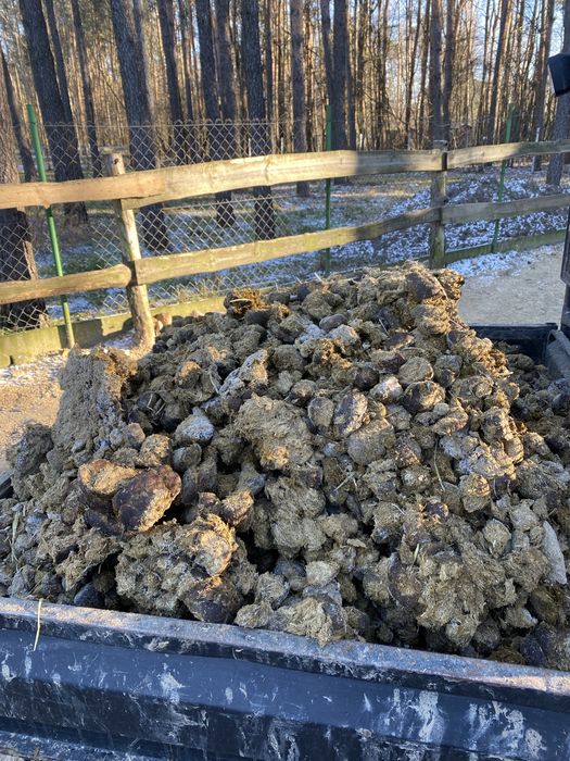 Sprzedam obornik koński workowany naturalny nawóz