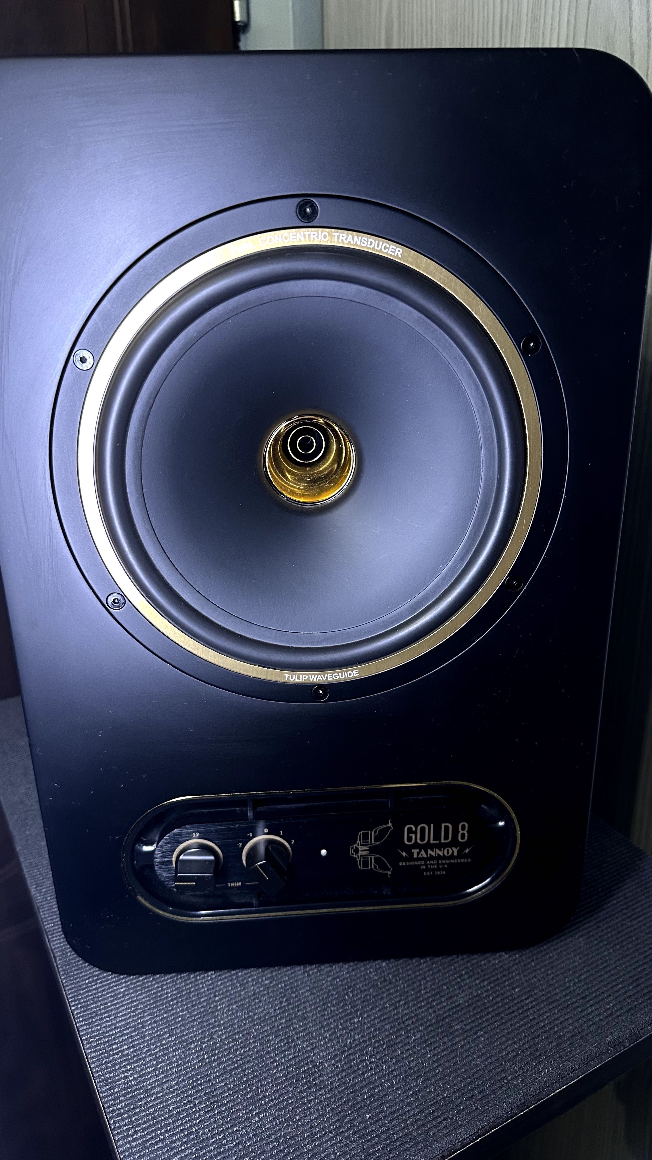 Monitory studyjne Tannoy Gold 8 para