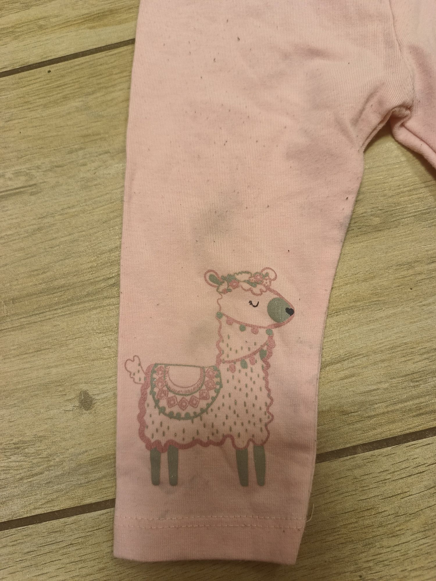 Dziewczęce niemowlęce spodnie legginsy z alpaką 6-9 miesięcy