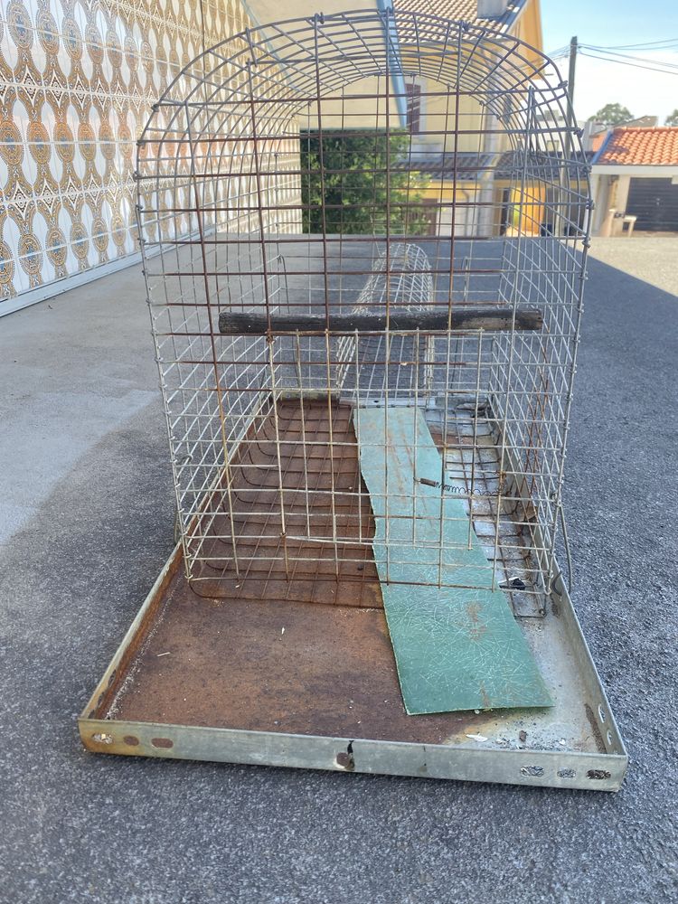 Gaiola para Melros
