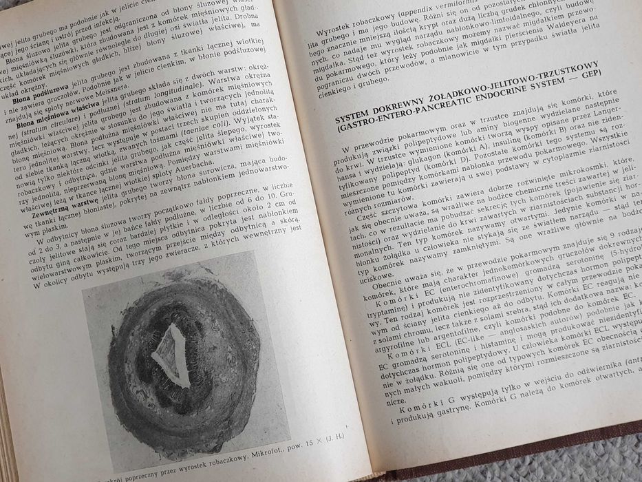 Podręcznik histologii - Pawlikowski, Karasek, Pawlikowski