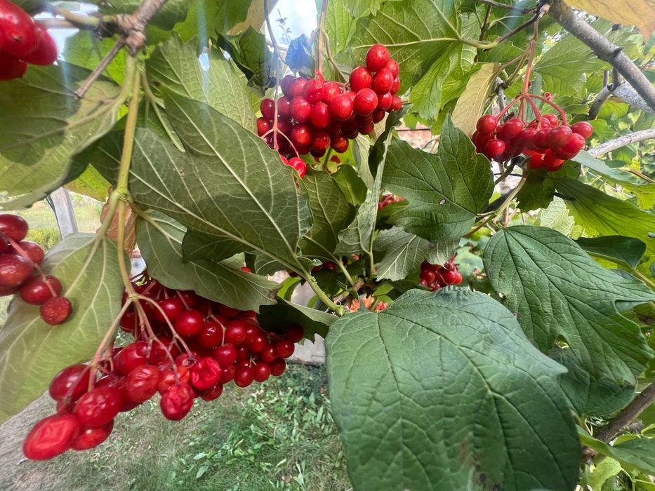Продаж новозбудованого будинку м. Березань, Київська обл., 88 м2