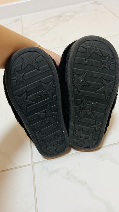 Тарочки кімнатні 19см