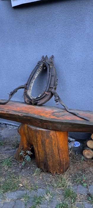 Chomonto dla konia jako ozdoba