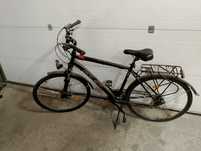 Rower treningowy Romet Wagant