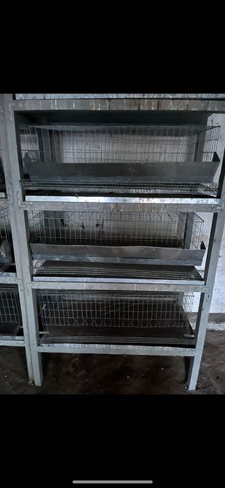 Клітки для перепілок