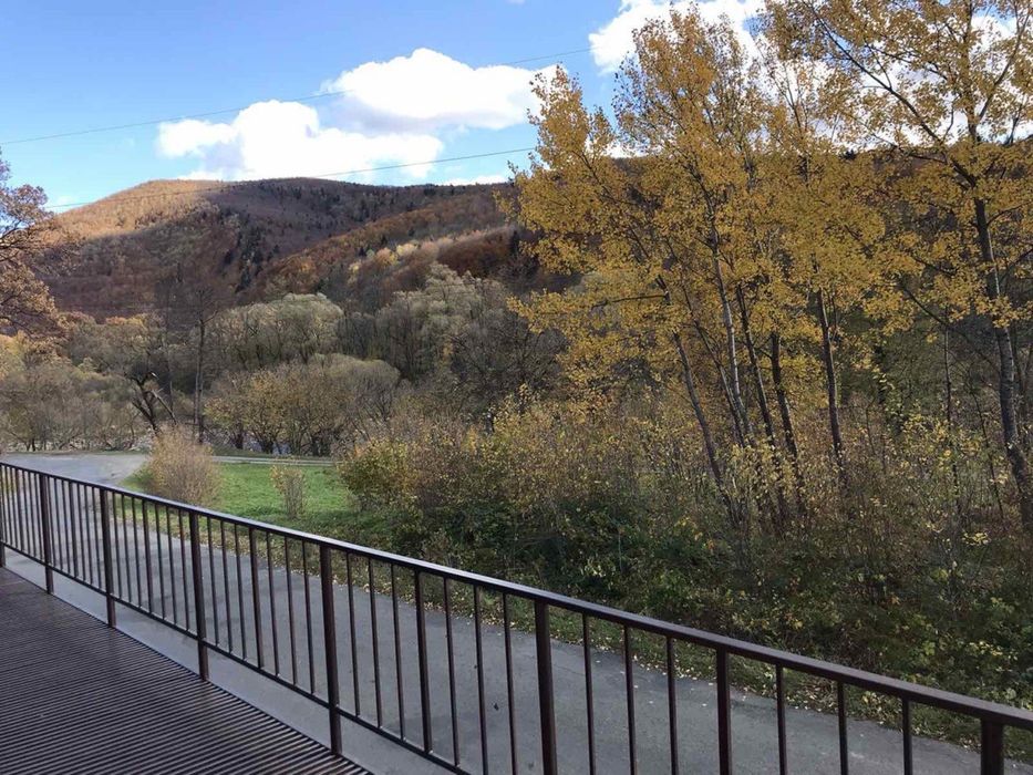 Відпочинок у Карпатах котеджі біля річки та лісу