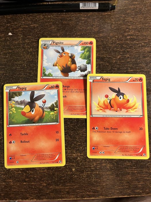Karty pokemon oryginalne starsze zestaw Tepig Pignite Black & White