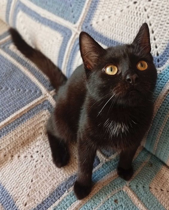 Odlotowy Ryanair do pokochania