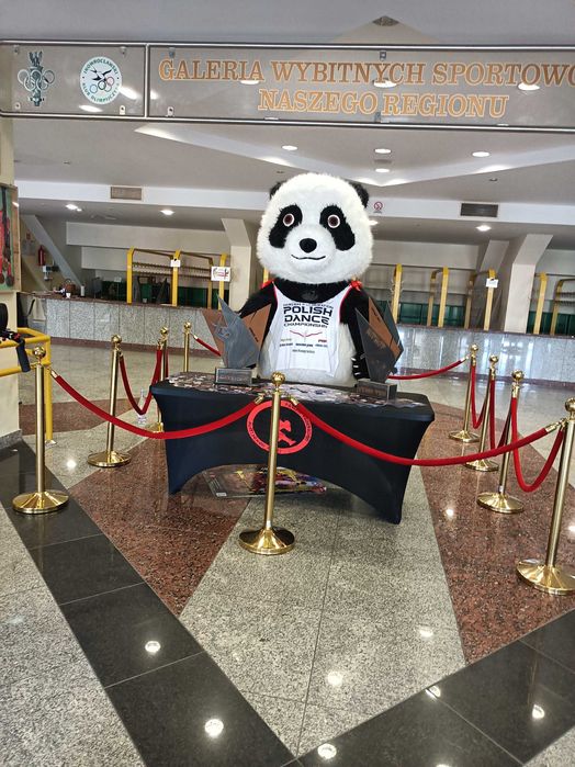 Wynajem misia, pandy i innych maskotek na imprezę! Miś wynajem Bałwan