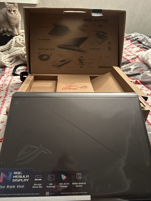 ASUS ROG Strix G18 G815LR-S9016W 18» WQX