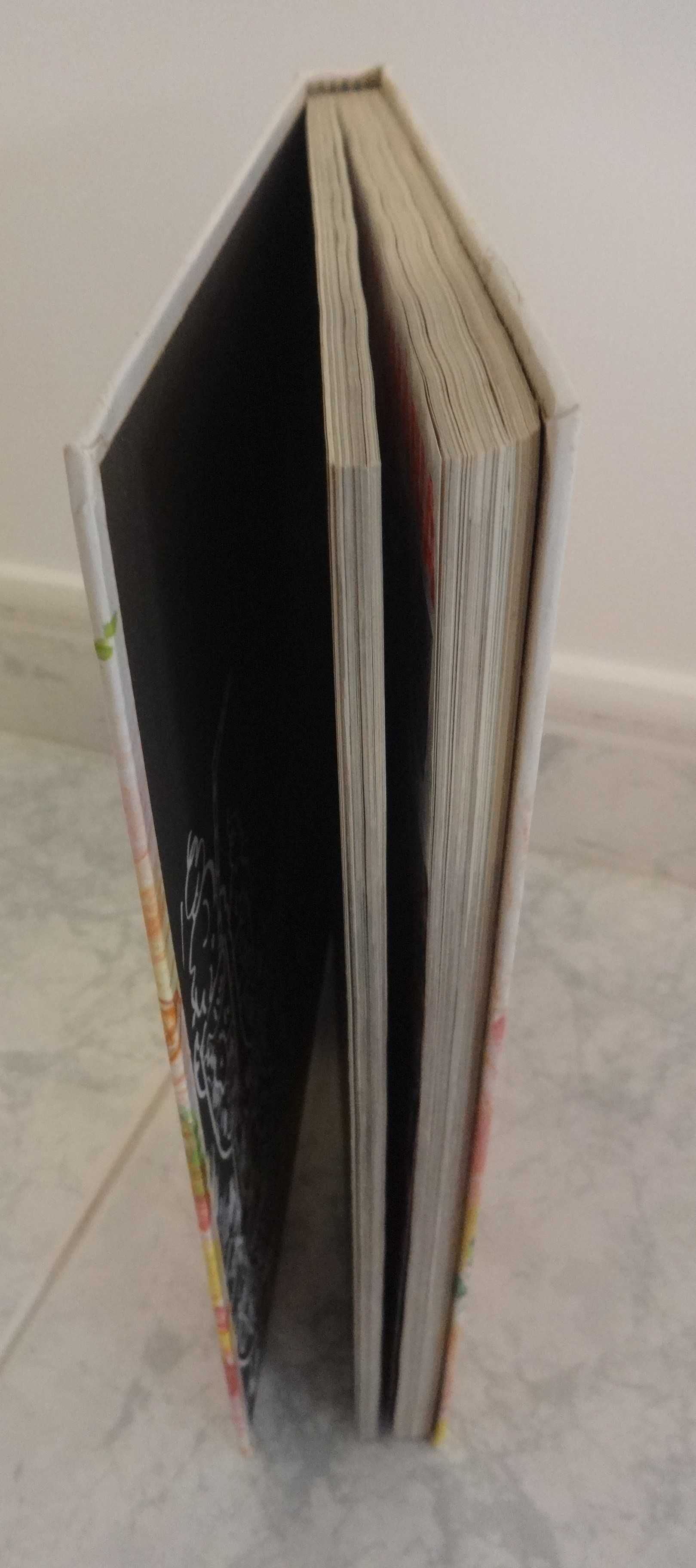 Livro Teleculinária e Doçaria 13º Volume