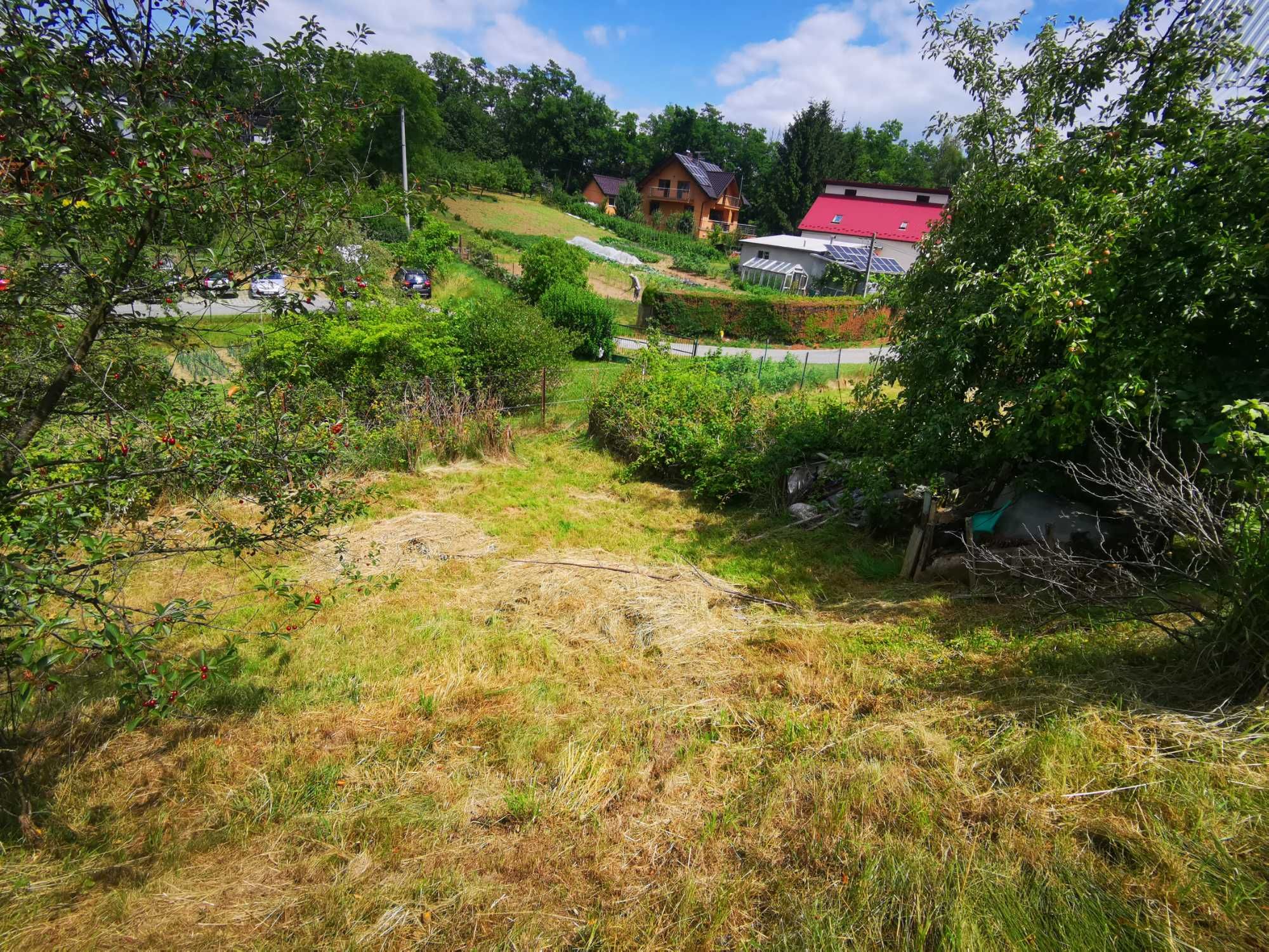 Ogródek, działka ROD, Zabełcze - Góra Lotnika