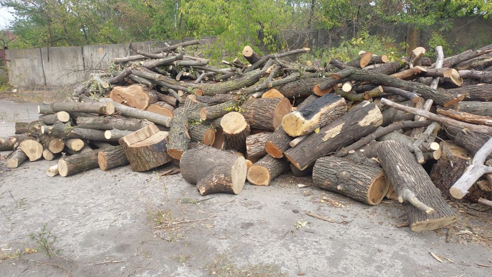 Продам дрова дуб акация ясень для отопления