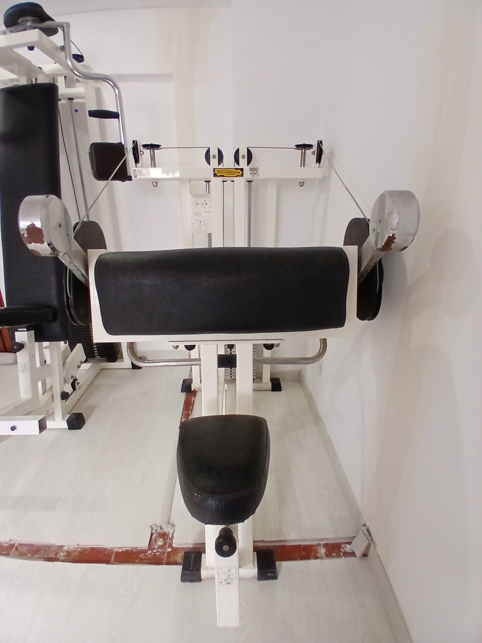 Technogym Isotonic Bicep Curl branca
