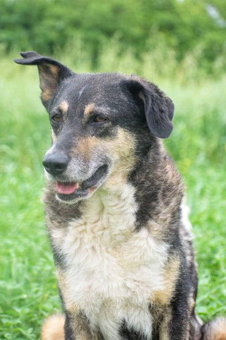 Roxi czeka na Ciebie