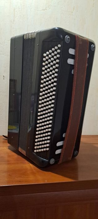 Баян Житомирський заказний