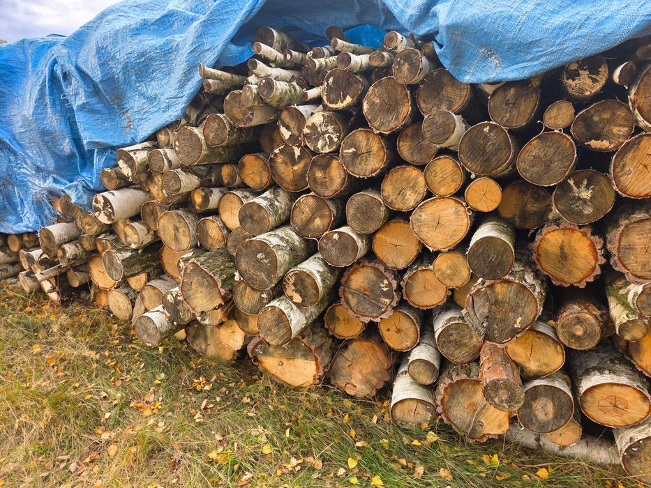 Drewno brzoza z sosną 14m3