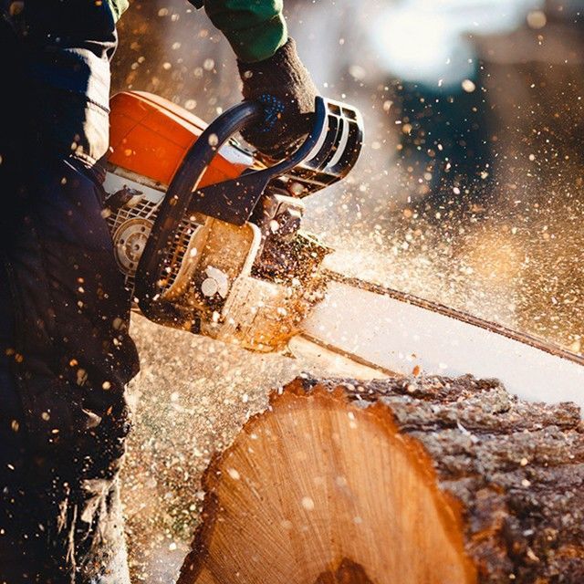 Валка деревьев, резка дров, уборка участков