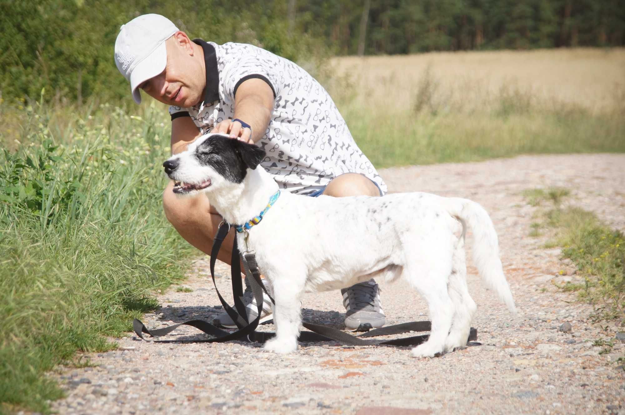 Paks – mały psiak potraktowany jak stary mebel...