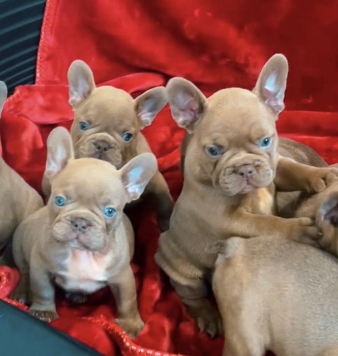 Мальчики есть выбор