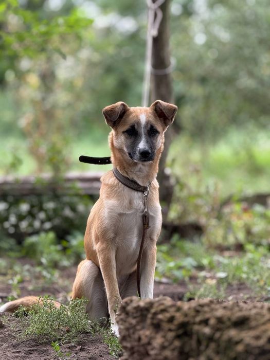 две девочки ищут семью