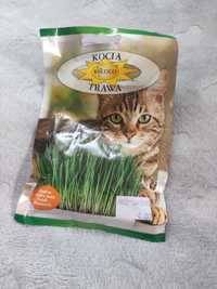 Kocia trawa, oczyszcza organizm kota z kulek włosowych, Roltico!