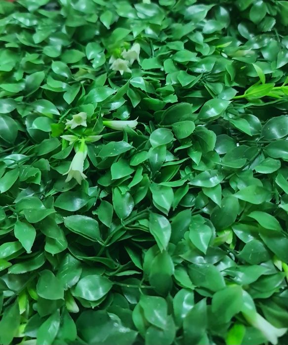 Parede Jardim vertical painéis