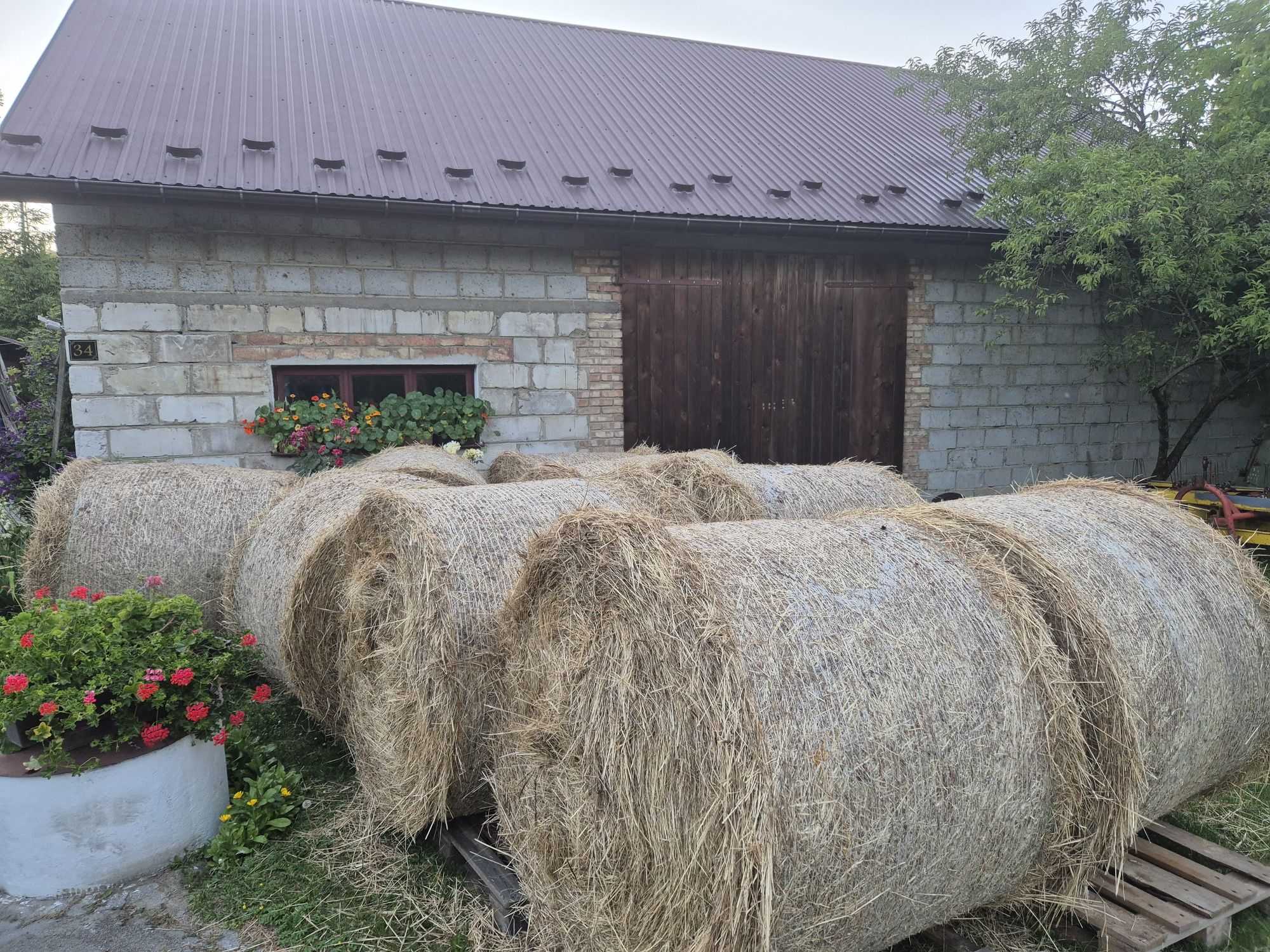 Ekologiczne siano w belach, , pachnące, z naturalnej łąki