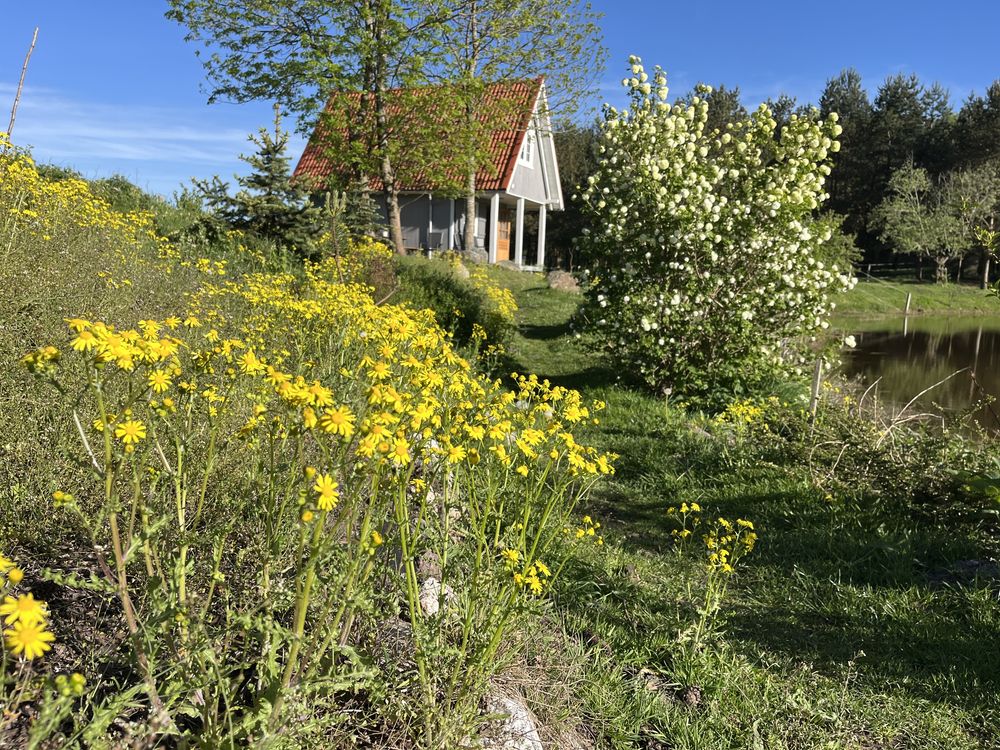 Domek na wsi, Kaszuby, agroturystyka Ugoszczanka