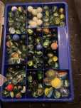 Berlindes varias cores