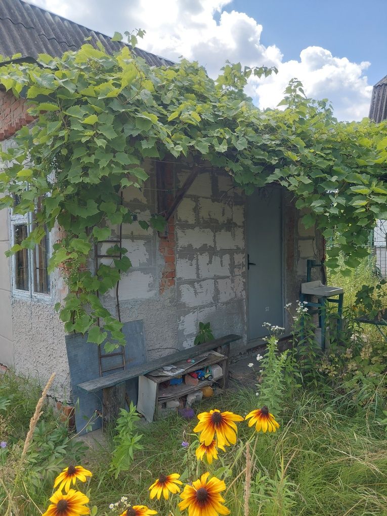 Продаж дачі в передмісті Чернігова