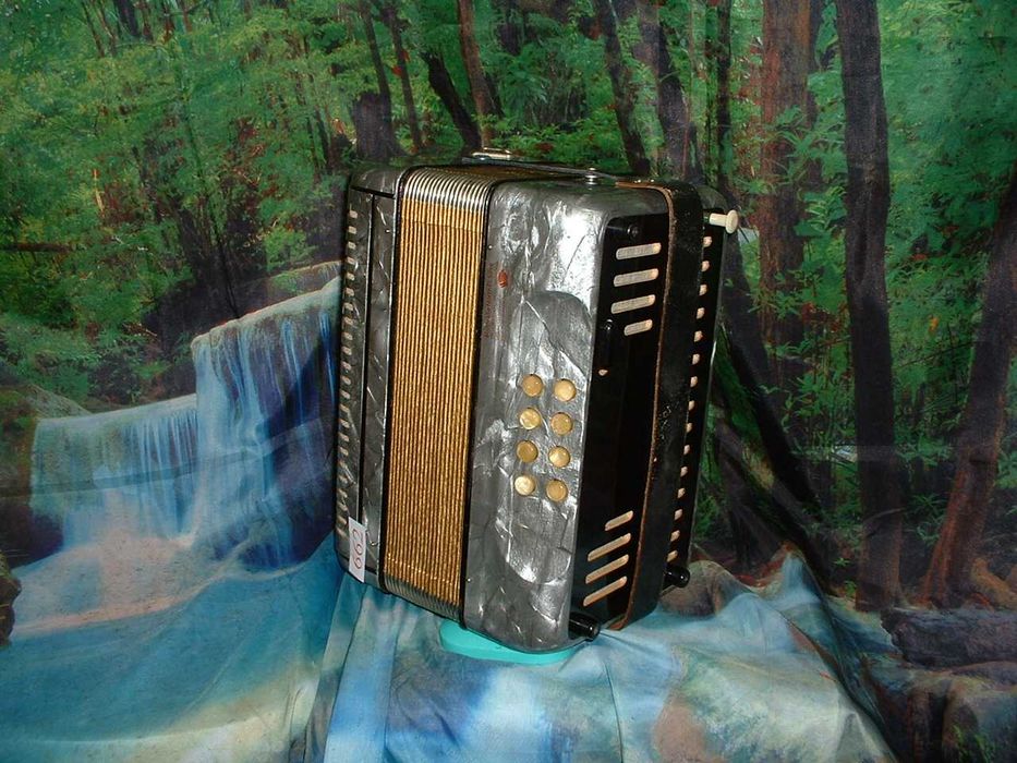 Concertina a venda n.662