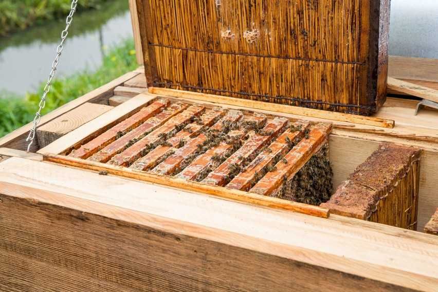 RÓJ PSZCZÓŁ - Zaginął, Uciekł - Daj Nam Znać Jak Go Zobaczysz