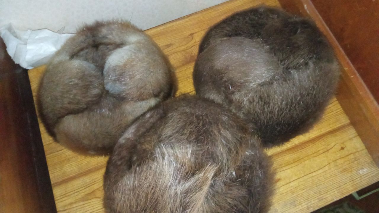 Шапки чоловічі натуральні хутряні