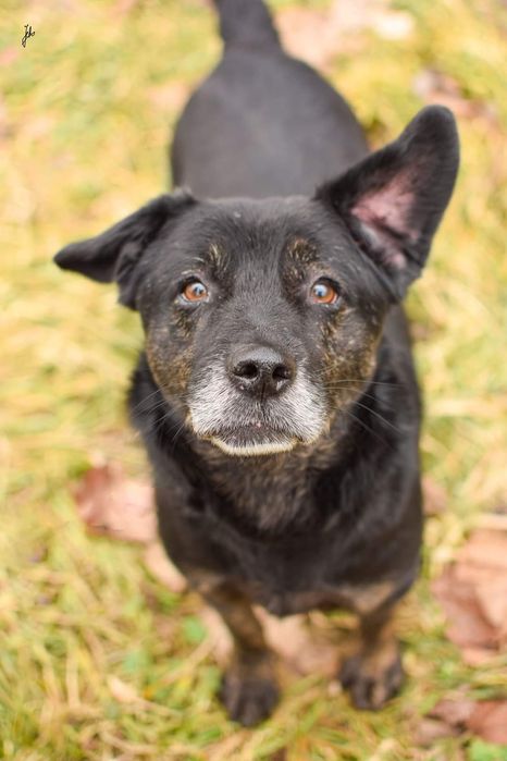 On jest taki cudowny, nikt go jednak nadal nie pokochał..