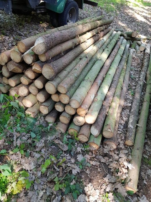Stemple budowlane kołki płot drewno budowa ogrodzenie tymczasowe