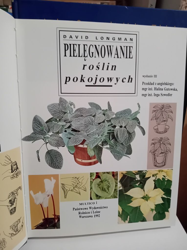 Pielęgnowanie roślin pokojowych