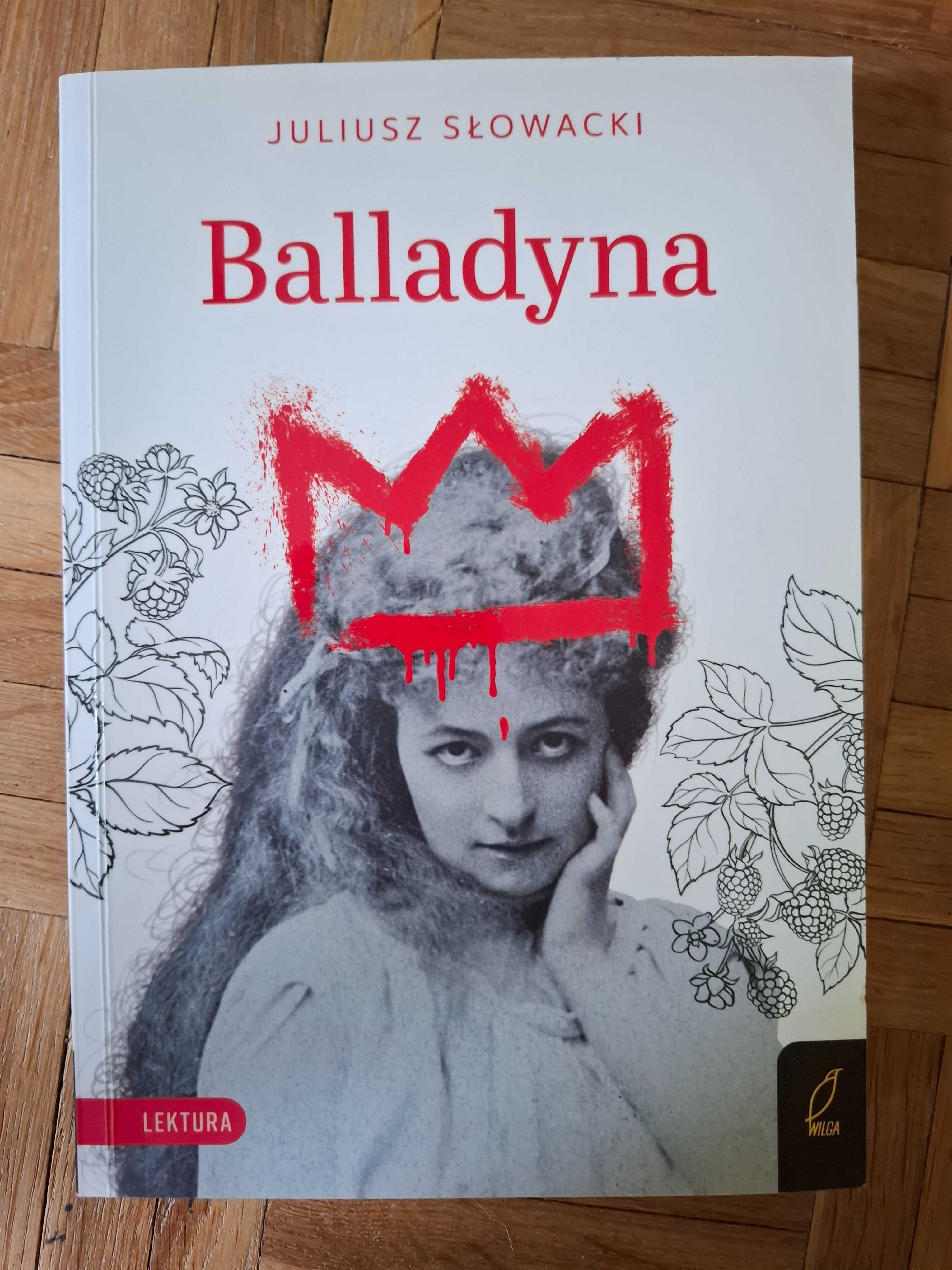 Lektury 4x5ł, pajączek, felix, kleks, alcybiades, balladyna, dolittle