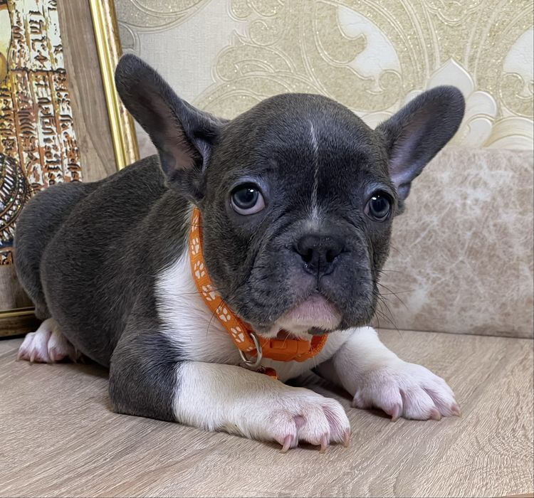 Хлопчик та дівчинка