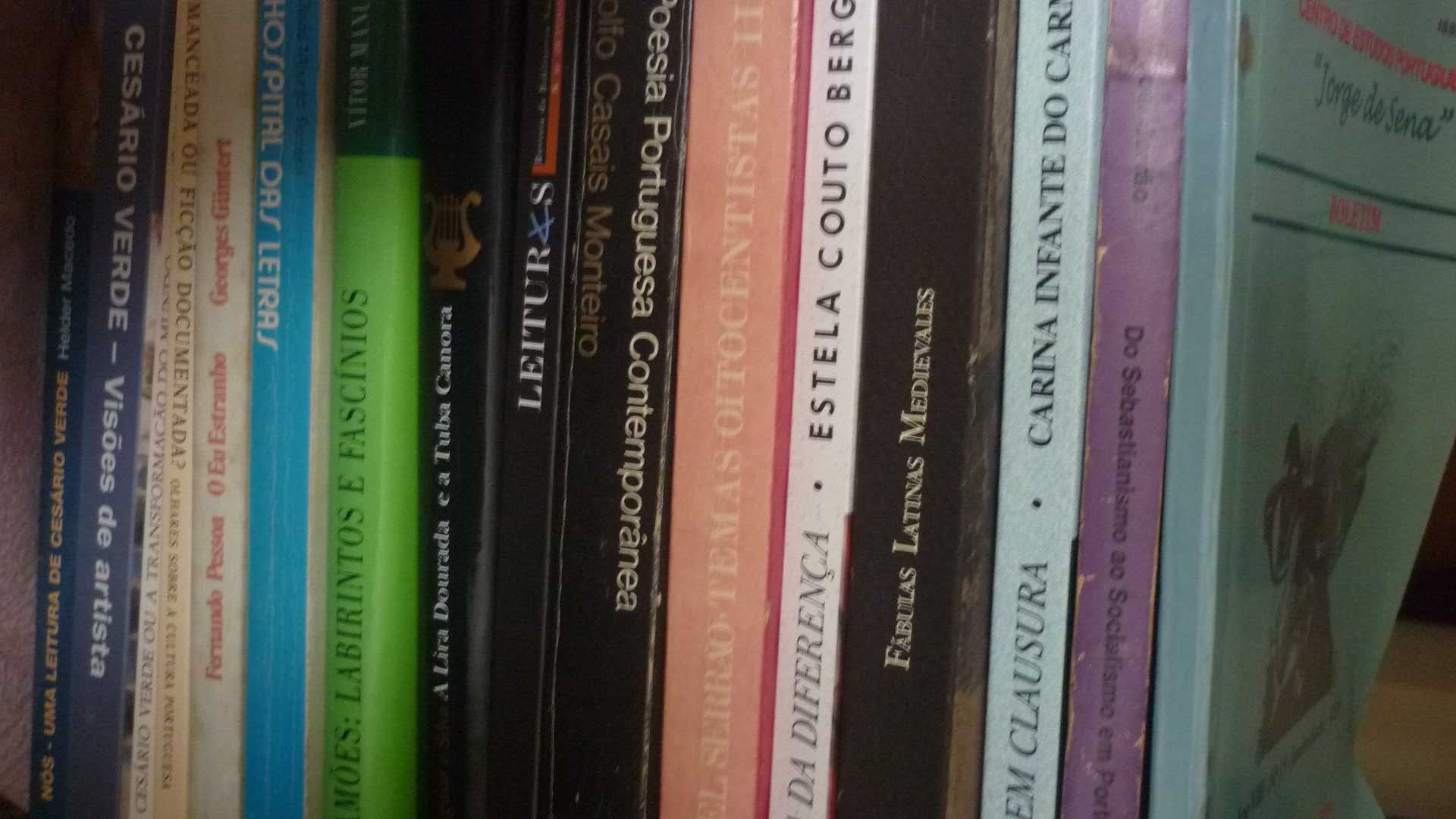 estudos literários, dicionário de termos linguísticos