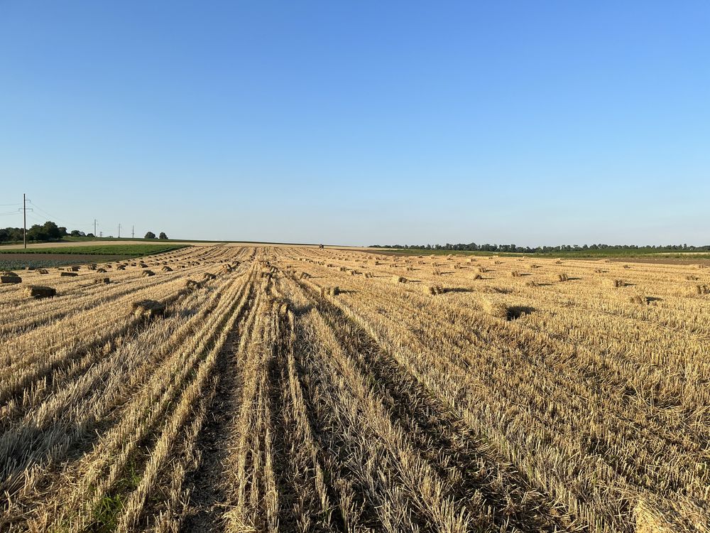 Продам Тюки Соломи/сіно